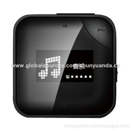 Fashionable MP3 player, dual loss-less music format + ultra portable pure music clip + 4GB